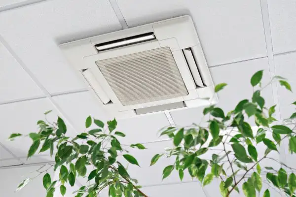 Indoor Air Quality Specialists